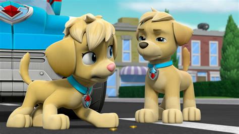 Watch Paw Patrol Season Episode Mighty Pups Super Paws Pups