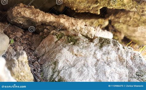 Stone Mountain Cave With Moss Stock Image Image Of Yellow Moss