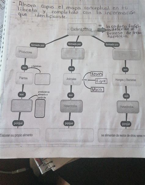 Ahora Copia El Mapa Conceptual En Tu Libreta Y Completalo Con La Informacionahora Copia El Mapa