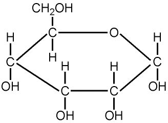 Step 2: Pre-biotic Synthesis