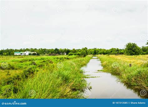 Louisiana Wetlands Stock Image Image Of Coast United 107313585