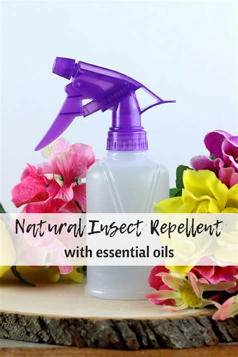 Made from a combination of select essential oils, a carrier oil and witch hazel, this is just what you need to keep bugs away and keep nasty chemicals off your skin and out of the environment. Homemade Insect Repellent Spray Recipe With Essential Oils