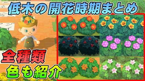 つまらないな つまらないな 毎日って つまらないな 猫かぶって. あつ森 低木の種類 | あつ森 低木の種類!使い方・マス(間隔 ...