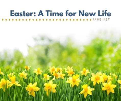 Easter A Time For New Life Indiana Association Of Home Educators