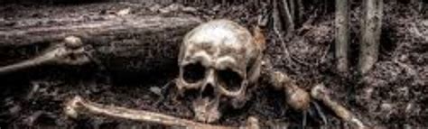 Bones In Woods Header Robin Barefield