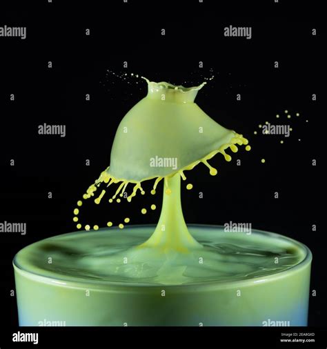 High Speed Shot Of Milk Drops Colliding And Creating A Splash In Yellow