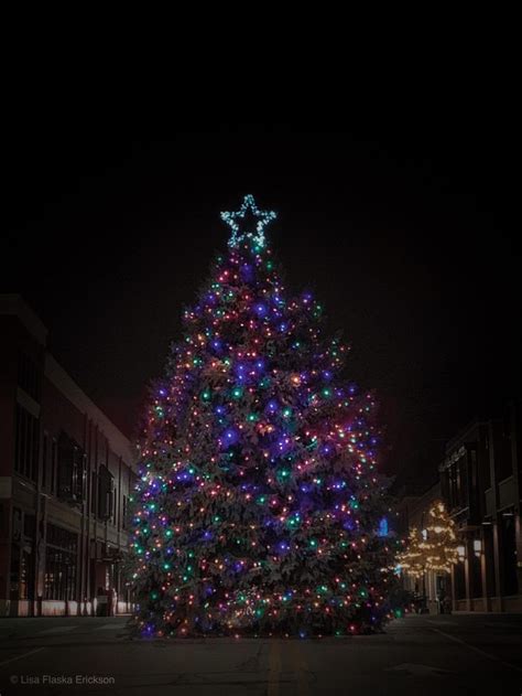 Downtown Traverse City Christmas Tree 2018 Tree