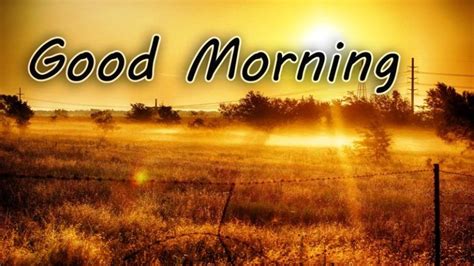 24 Wonderful Good Morning Greeting With Sunrise