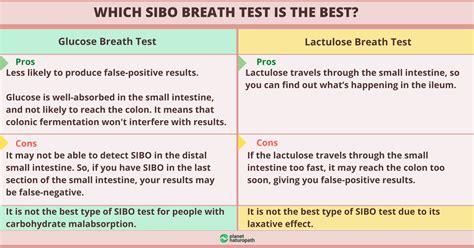 Sibo Testing Is It Worth It