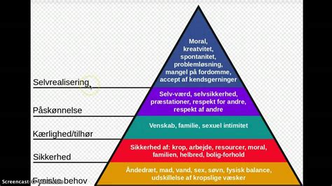 Maslow Behovspyramide Youtube