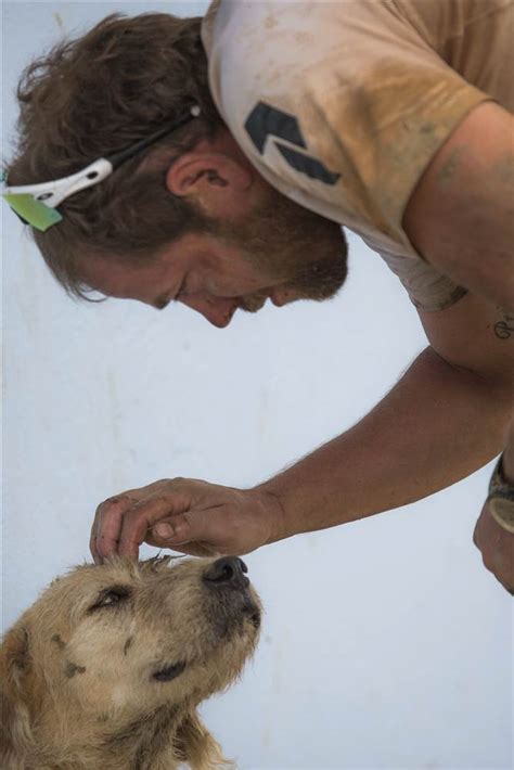 Stray dog befriends athletes, joins them for heartwarming ...