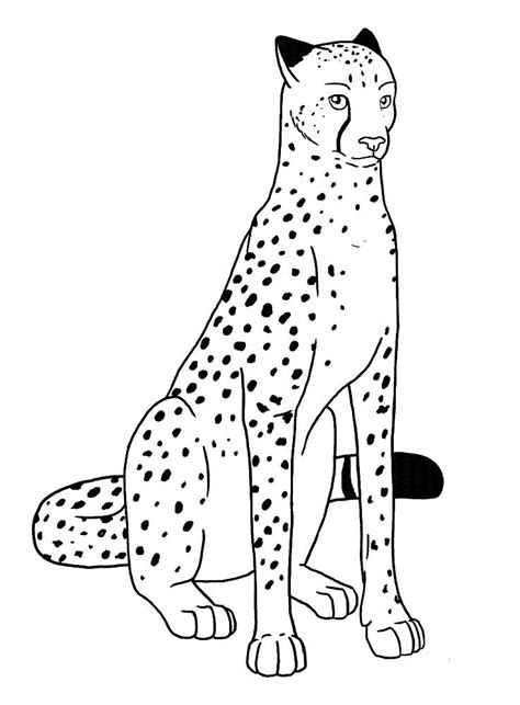 Printable Cheetah Coloring Pages