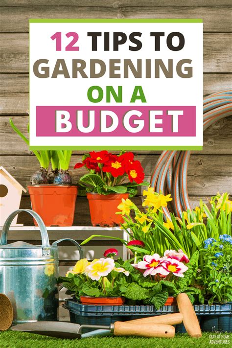 Turn your patio or backyard into a source of your very own fresh your garden location should be close to a water source for ease of watering. Learn how you can start gardening on a budget with these ...