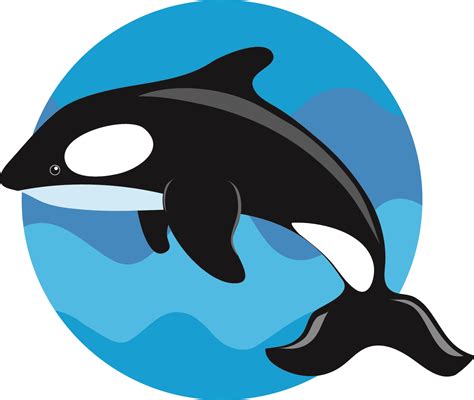 Killer Whale Clip Art Clipart Best
