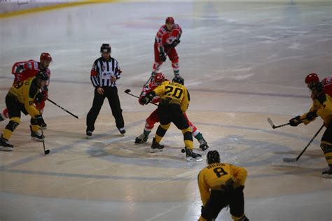 Gks katowice wyniki na żywo, rezultaty, terminarze. GKS Katowice - Zagłębie Sosnowiec 5:3 ZDJĘCIA, WYNIK ...