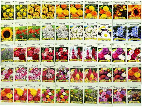 Buy Set Of 50 Assorted Flower Seed Packets Flower Seeds In Bulk 20
