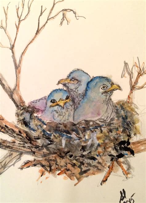Baby Birds In A Nesttree In Water Color Bird Drawings Nest Art