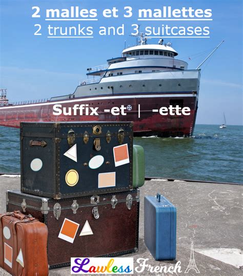 English has two singular demonstrative adjectives: Pin on French Vocabulary
