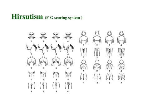 Hirsutism Scale Scoring System