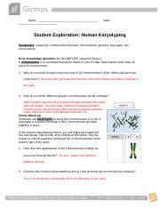 Student exploration human karyotyping gizmo answer key scientists use karyotypesto study the chromosomes in a cell. 14.2 lab.docx - Name Date Student Exploration Human Karyotyping Vocabulary autosome chromosomal ...