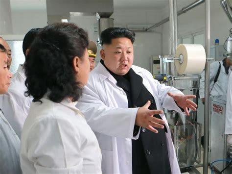 North Korea Has Found The Cure For Aids Ebola And Sars With One Drug