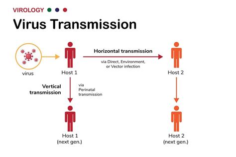 Is Vertical Transmission Of SARS CoV 2 Possible