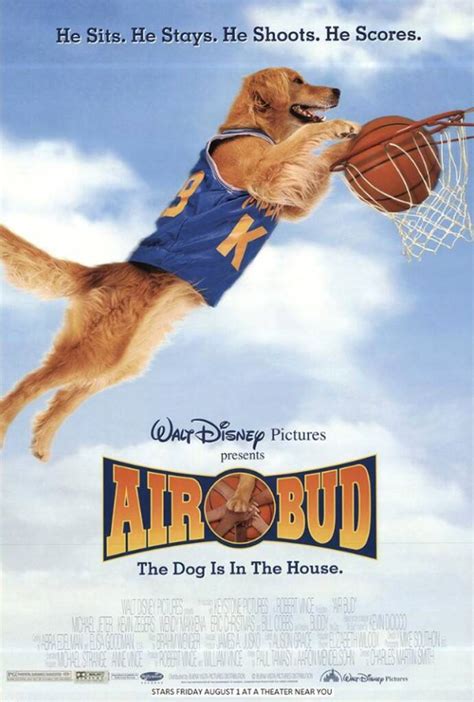 If you have not seen this movie you should. Air Bud Turns 20: How Buddy the Wonder Dog's Legacy ...