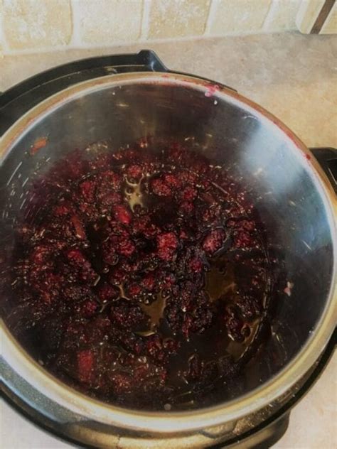 Pour one cup of water in the instant pot. Instant Pot Blackberry Jam Recipe (No Sugar, No Pectin)
