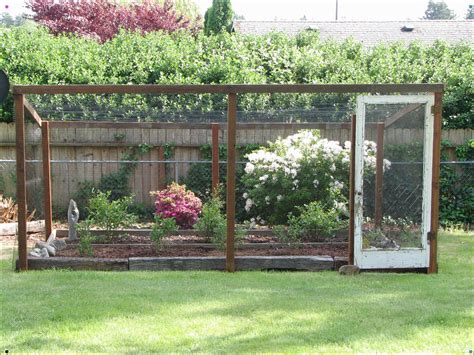 Available at paws on chicon, austin tx. My Blueberry Cage That My Wonderful Husband Made For Me ...