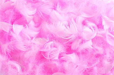 Pink Feathers Stock Image Image Of Patterned Costume 38281677
