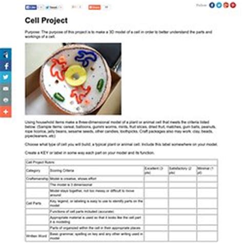 Видео animal cell project канала spain1088. Science grade 6 | Pearltrees