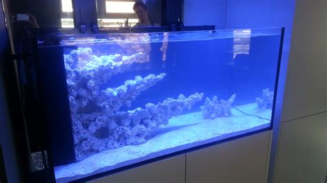 Reef Tank Aquascapes Custom Built By Randr Aquascapes Uk Marine