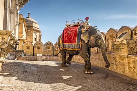 Paseos En Elefante En La India India Mágica