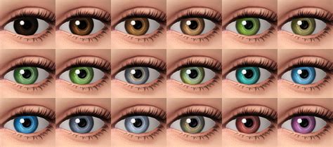 Maxis Match Default Eyes Sims 4 Poostats