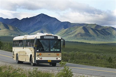 Additionally, a computer station, tour/ticket assistance, and a garden are onsite. The Cabins | Denali National Park & Preserve AK | Denali ...