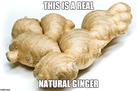 Real Gingers Imgflip