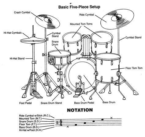 Basic Five Piece Drum Set Back View Drum Patterns Learn Drums