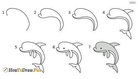 As i said before, dolphin drawing for kids is very straightforward. How To Draw A Dolphin Step By Step For Kids