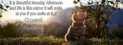 .of inspirational, wise, and humorous old good afternoon quotes, good afternoon sayings, and good afternoon guys, just remember that no matter where you are right now focus and a positive. Good Afternoon Quotes and Beautiful Images.