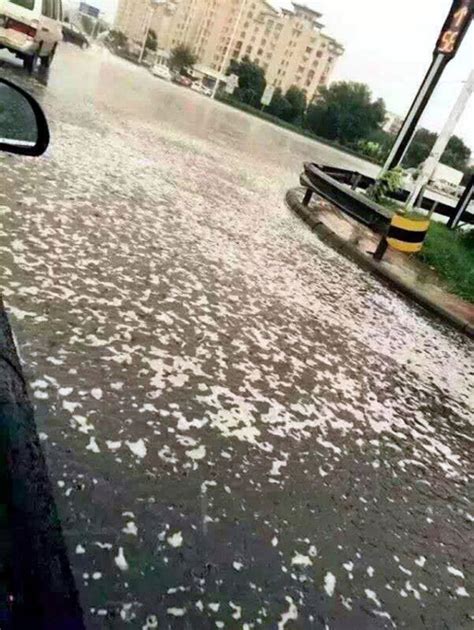 Espectáculo musical y poético en torno al torno. Lluvia ácida sobre Tianjin | Crónica | EL MUNDO