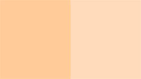 Peach Orange Color Background