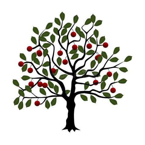 Cherry Tree Stock Vector Illustration Of Vector White 23559575