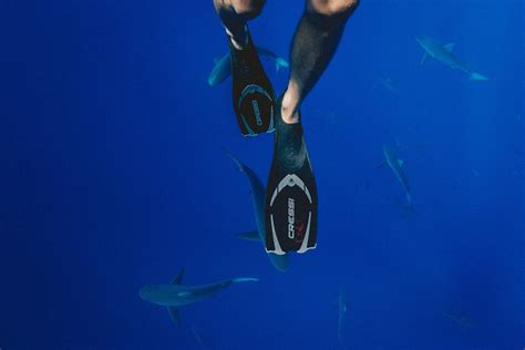 Namely the southwest monsoon from late may to september, and the northeast monsoon from november to march. Where to Dive During the Monsoon Season in Malaysia - ExpatGo