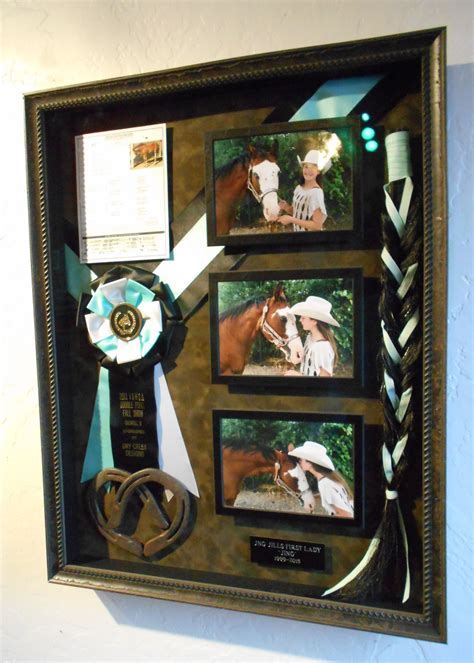 Memorial Shadowbox for a beloved horse | Horse memory, Horse show