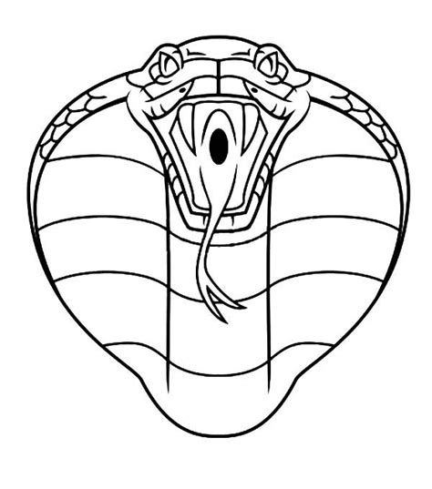 Maybe you would like to learn more about one of these? King Cobra Outline Coloring Pages | Kids Play Color ...