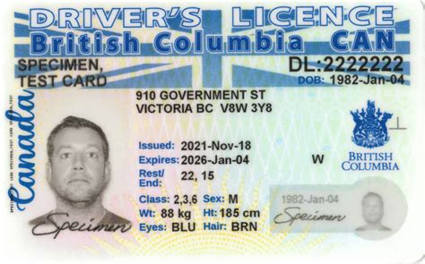 Changes To Bcs Drivers License Id And Service Cards Keesing