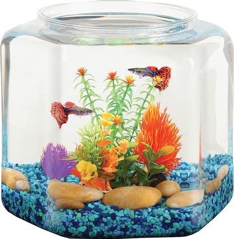 Koller Products Bettatank Gallon Hex Fish Bowl Amazon Ca Pet Supplies