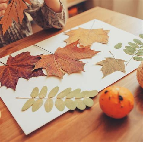 44 Best Fall Leaf Craft Ideas Diy Decorating Projects With Leaves