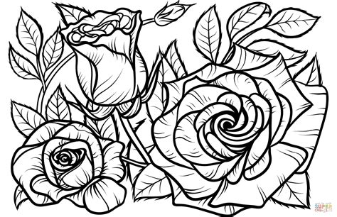 In addition, that flower comes in pretty colors, impressive smell, and of course different sizes. Rose coloring page | Free Printable Coloring Pages