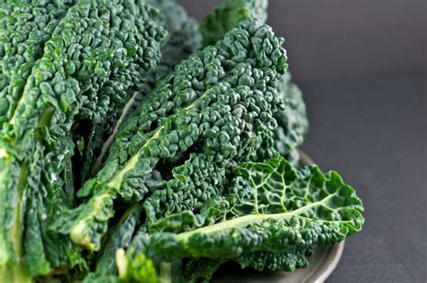 Kale El Alimento Milagroso Que Tienes Que Probar
